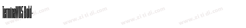 TerminaW05 Bold字体转换